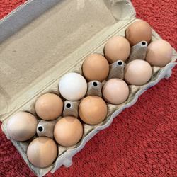Free Range Filled Egg Cartons 