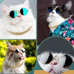 Cat Sunglasses 