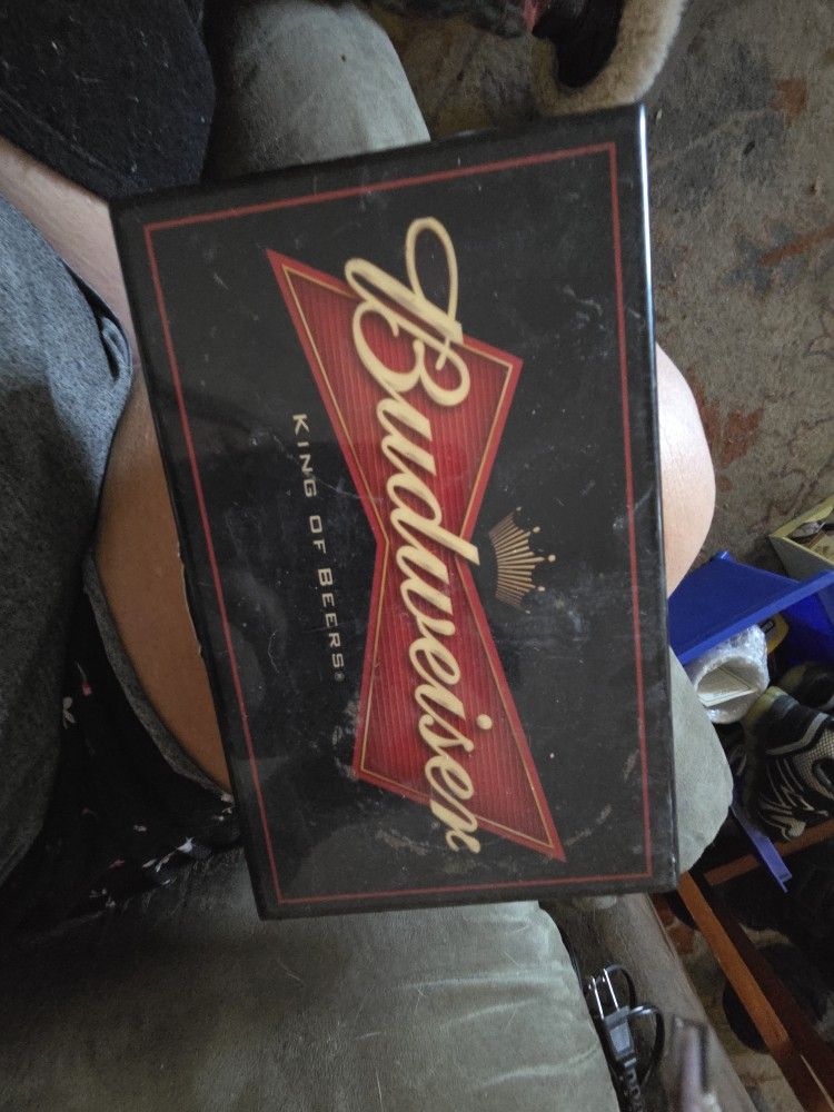 Budweiser Domino's In Case