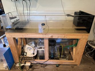 Frag Tank Acrylic, 60x24x12, 1 Inch thick, Clean And Everything In Photo