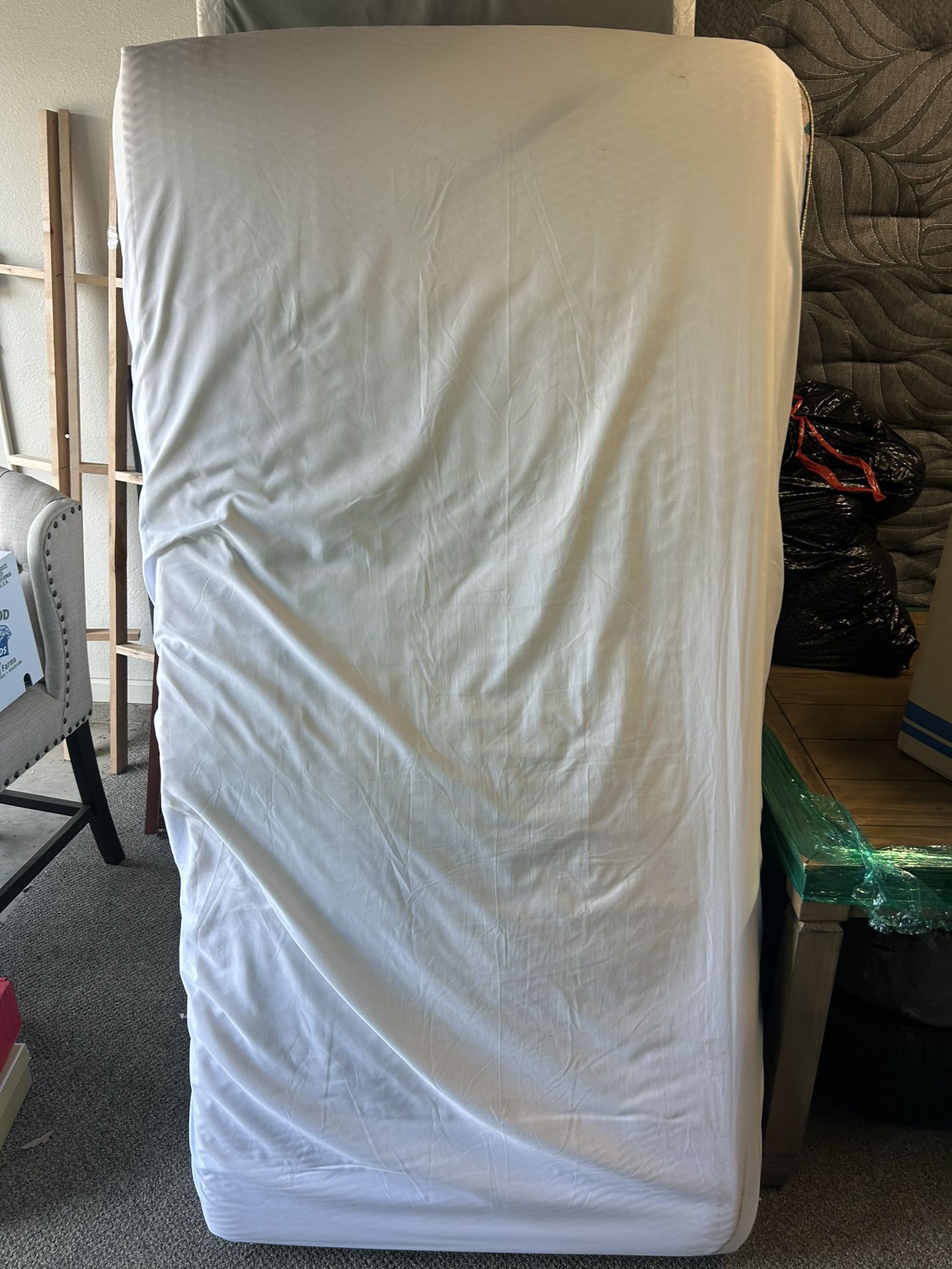 Twin Mattress (2) Box Spring(1)
