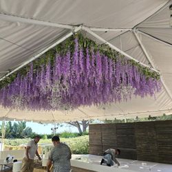 Silk Wisteria