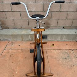 Rare Vintage SCHWINN DELUXE EXERCISER 70s COPPERTONE GOLD BRONZE