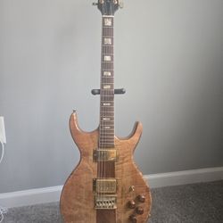 Custom Project Guitar (JB Humbuckers) 