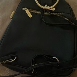Valentina Backpack/purse