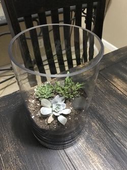 Terrariums
