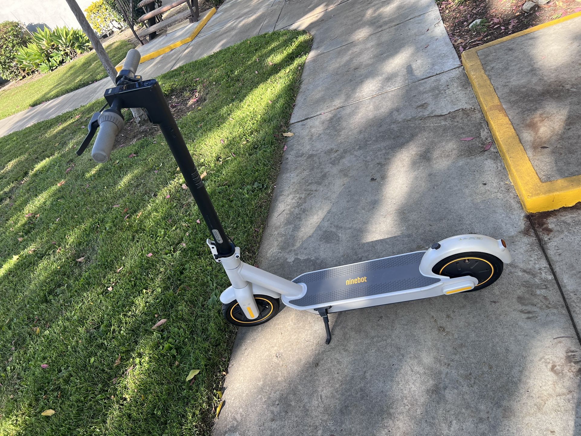 Electric Scooter Adult