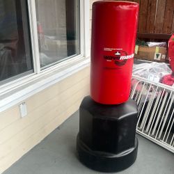 Traning Bag Excelente Condition   And Boxing Gloves 