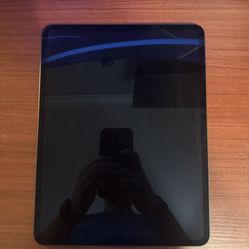 2024 M4 13 Inch iPad Pro