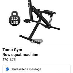 Row And Squat Machine 