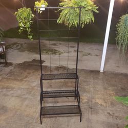 Metal Plant Stand 