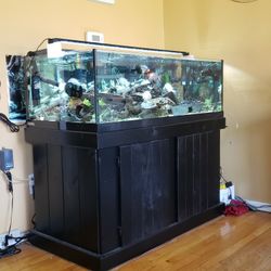 80 Gallon Rimless (48×24×16) Aquarium 