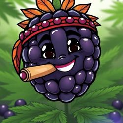 Strain, Regular Cannabis Seeds  420