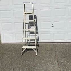 Werner Ladder 225 lbs 6’ Very Steady $25