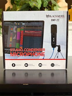 Blackmore Pro Audio BMP-22 Studio Condenser Microphone