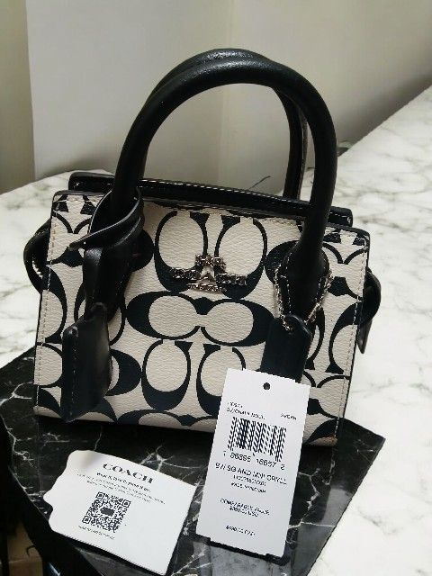 COACH Andrea Mini Carryall In Signature Canvas