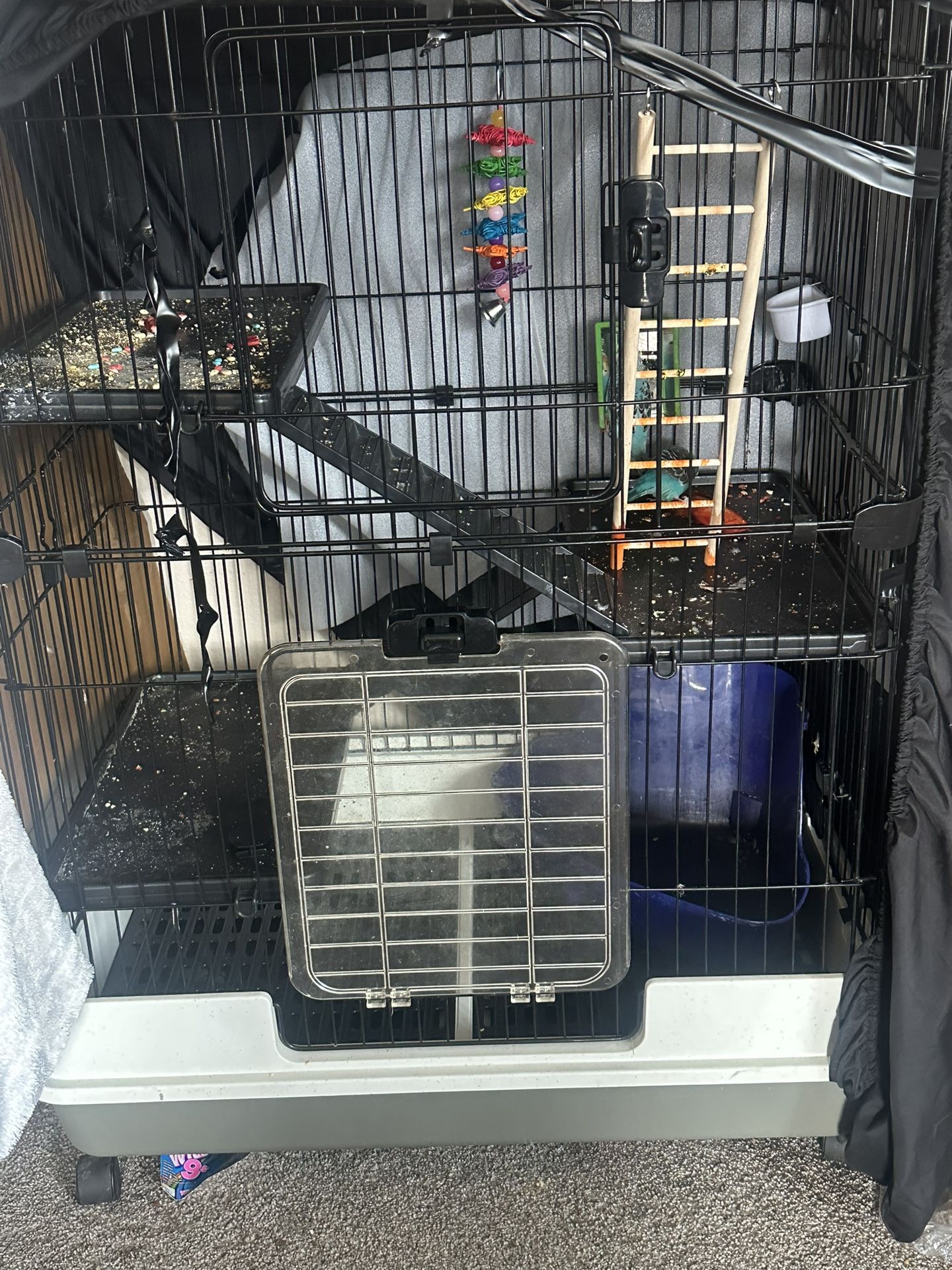 Big bird cage
