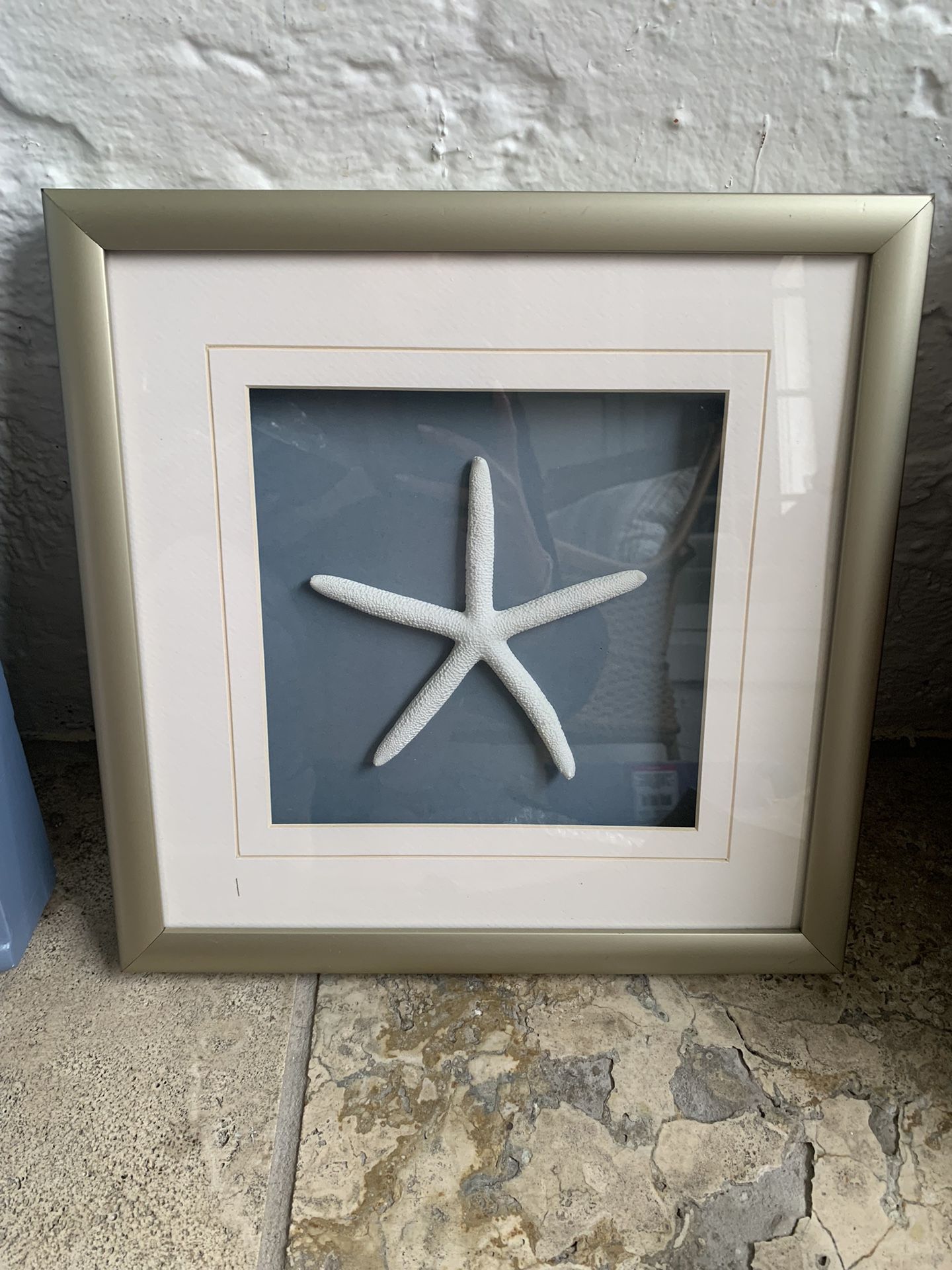 Starfish Art Framed