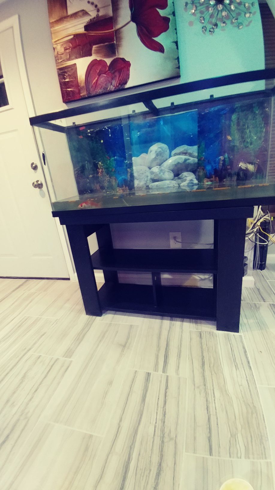 55 gallon aquarium with new filter, pack of carborn filter pads and free stand