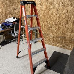 Werner 6ft Fiberglass Ladder