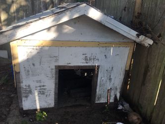 Real dog house
