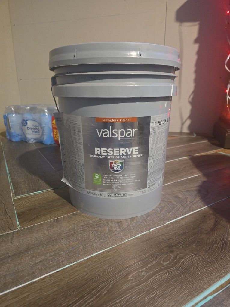 Paint And Primer $140