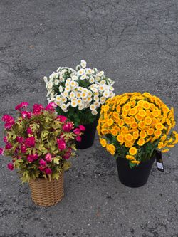 3 artificial flower floral decor arrangements