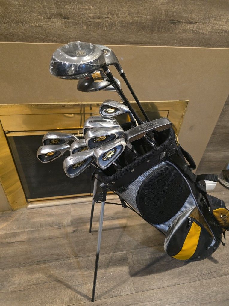 14 GOLF CLUBS SET WITH GOLF STANDBAG
