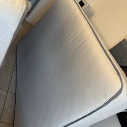 FREE - Queen Mattress And Box Spring 