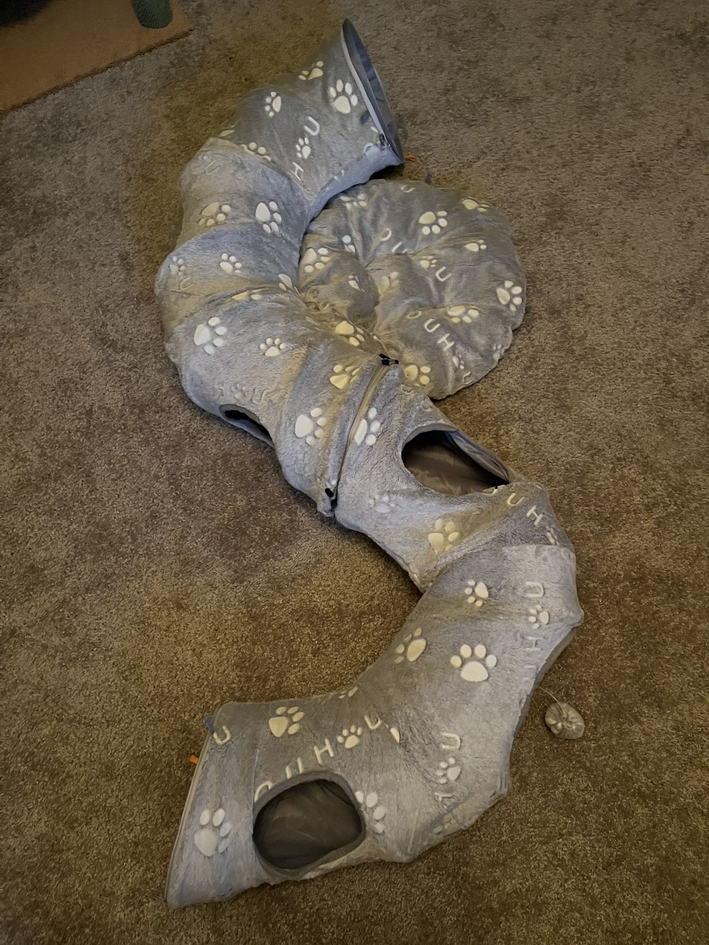 Cat Tunnel