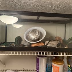 Tank & Light