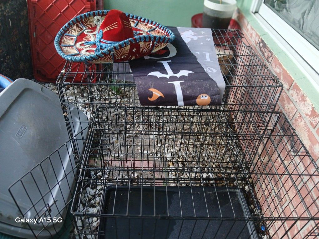 Dog Kennels