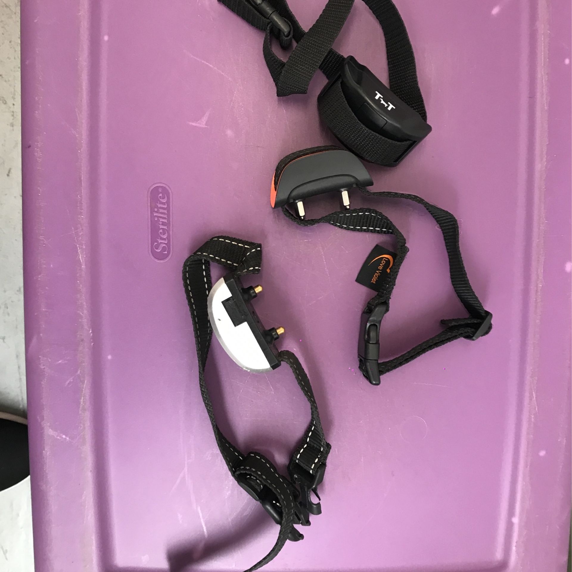 Dog Shock Collar