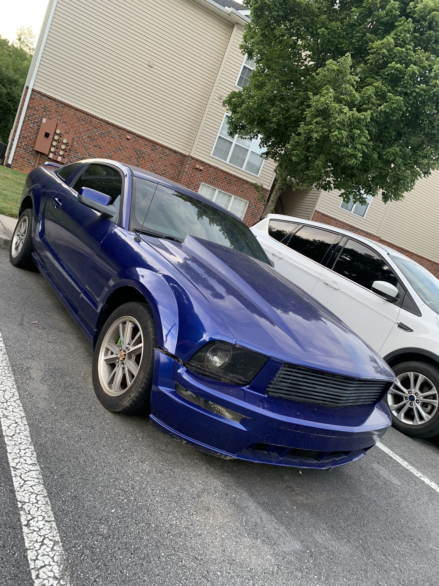2005 Mustang Low Mileage For Parts