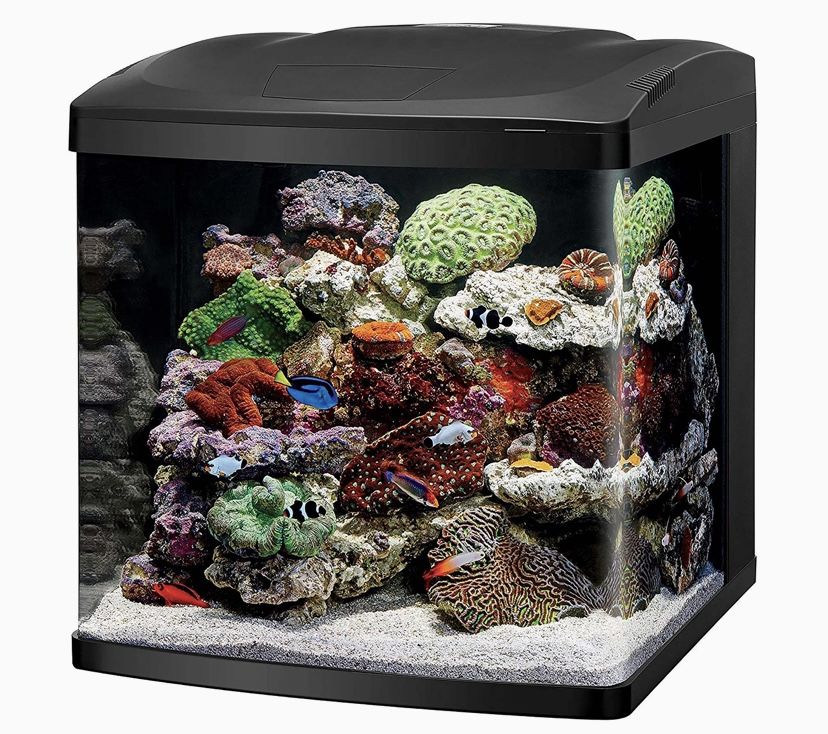 32 Led Biocube