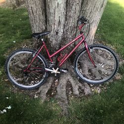 26” Schwinn Mountain Bike