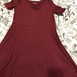 Burgundy Dress (Art Class)