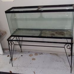 Sixty Gallon Fish Tank With The Stand