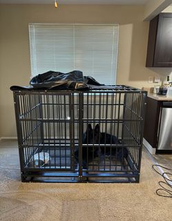 Heavy duty dog kennel, fits TWO LARGE DOGS.