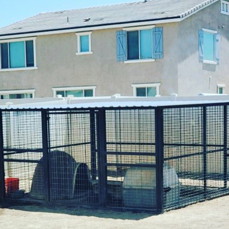 10x10 kennel