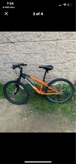 Adult bike