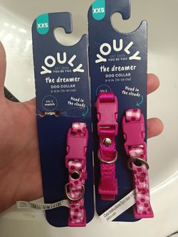 Puppy/Dog Collar 