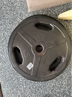 45lb weight plate (2)