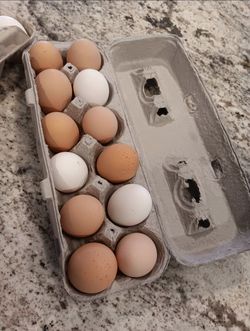 Farm Fresh Eggs