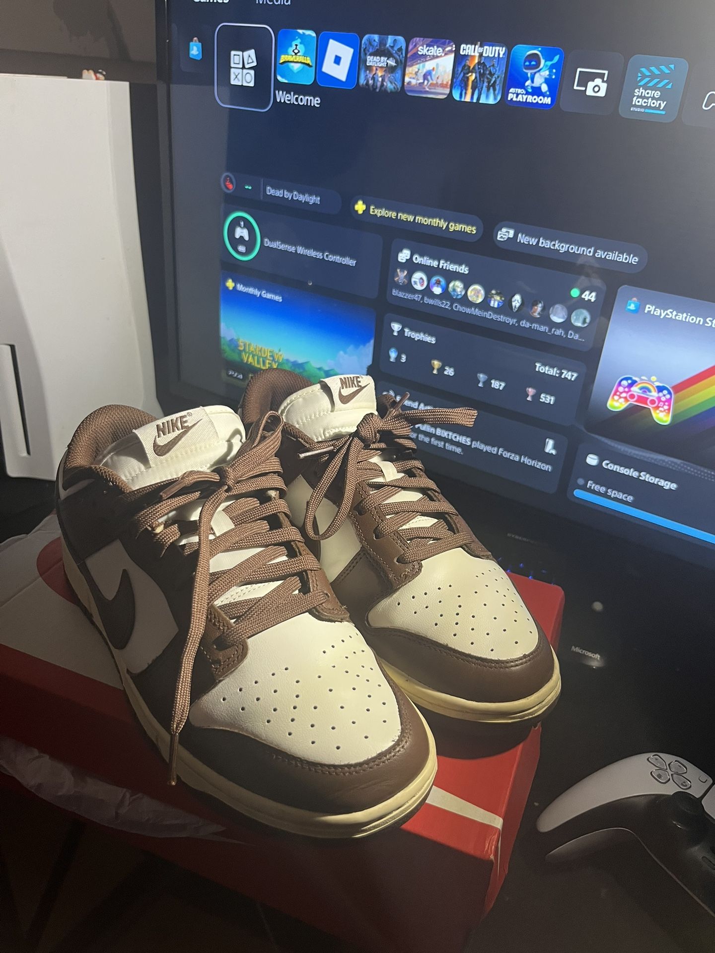 Cacao Low Nike Dunks