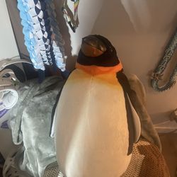 Stuffed Animals 