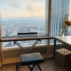 Piano Keyboard Set (88keys)