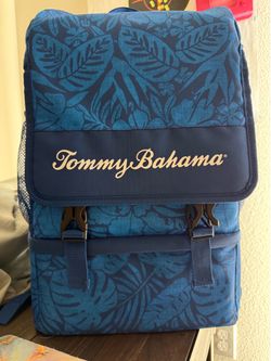 Backpack cooler