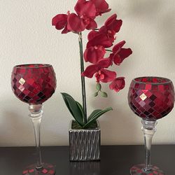 Candle Holders And Orchid Plant 