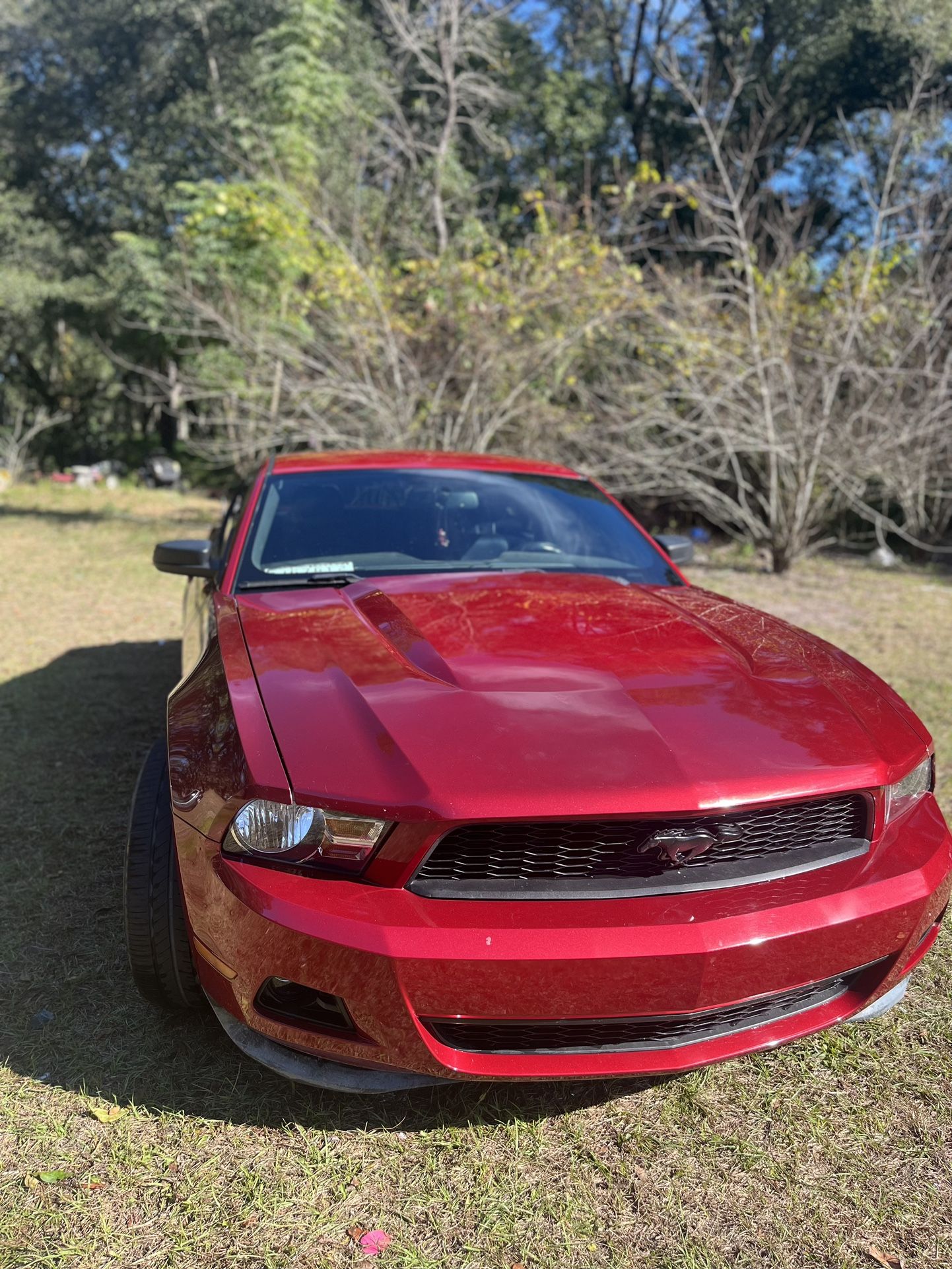 2010 Ford Mustang